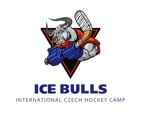 Ice Bulls Hockey Camp